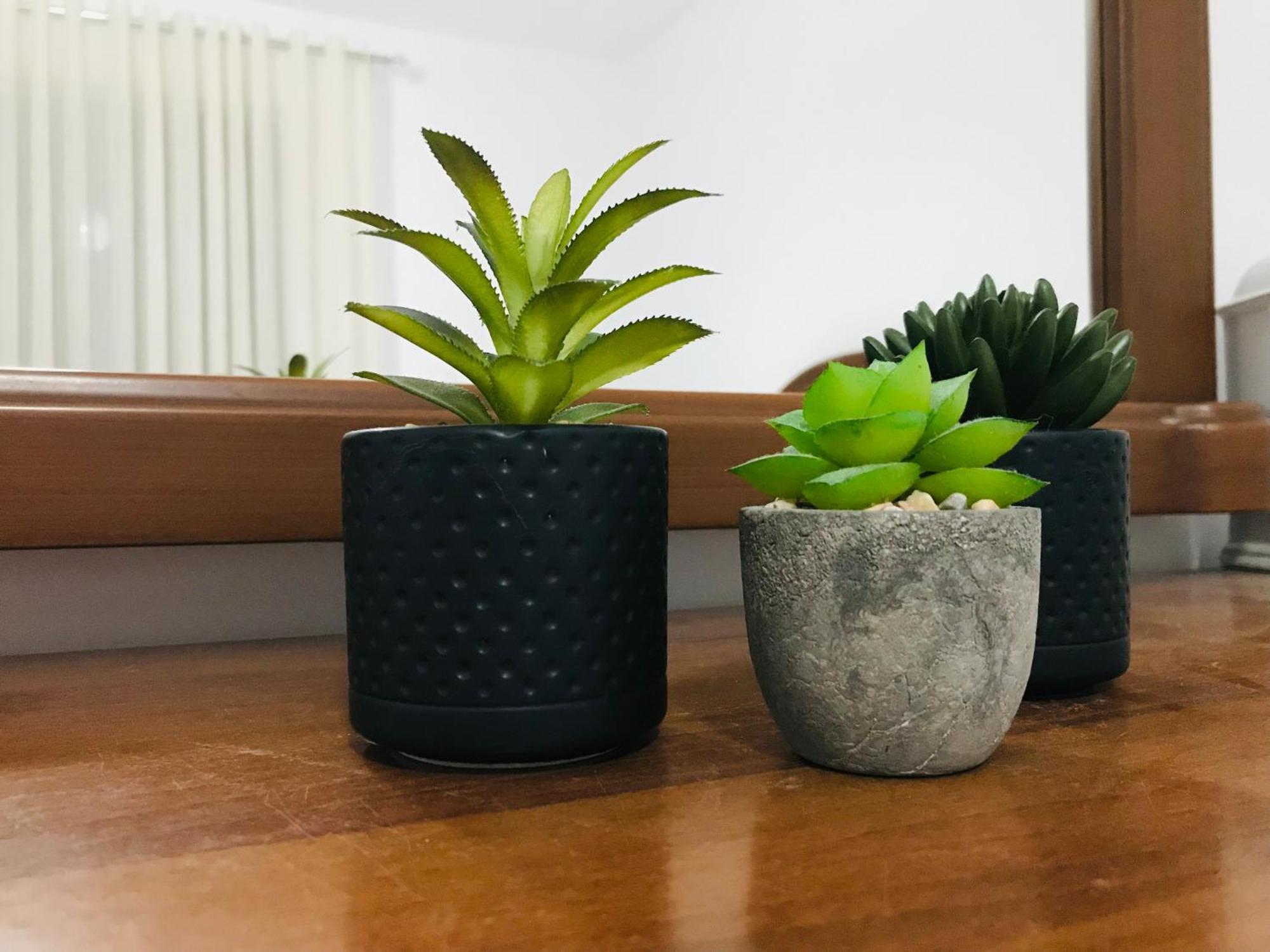 Koli Apartment *